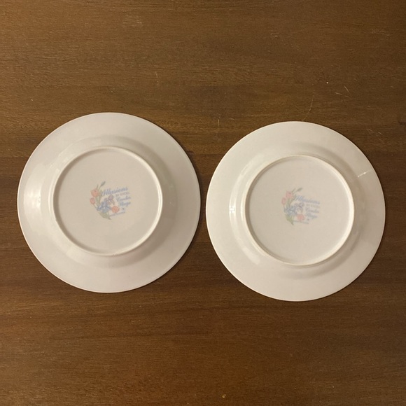 (2) Illusions By Excel Center Stage 7” Bread & Butter Plates w/ Silver Trim - Picture 4 of 5